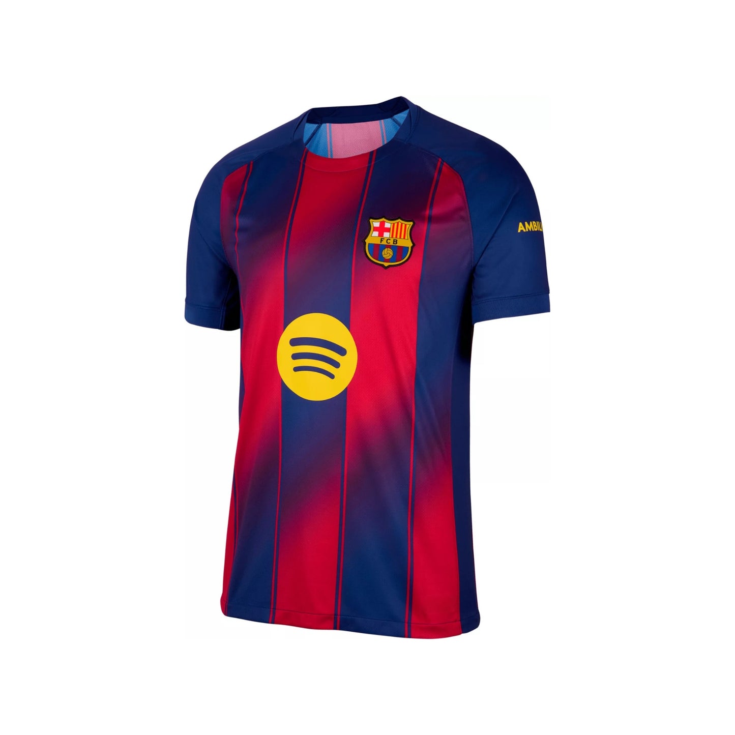 Lamine Yamal #10 New Season Adult Sizes Soccer Jersey